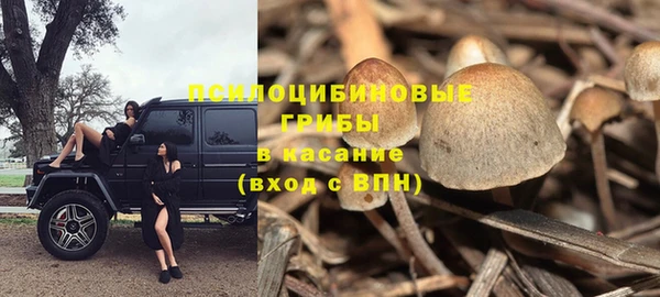 мет Бердск