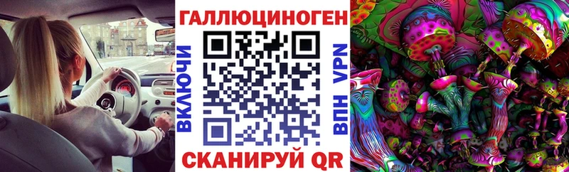 гидра   Городище  Псилоцибиновые грибы MAGIC MUSHROOMS  где продают  